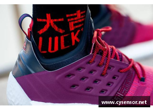 2021篮球鞋推荐性价比?(哈登红酒是什么牌子?)